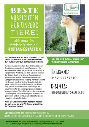 Flyer Auffangstation