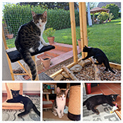 Jule und Joschi haben ein FürImmerZuhause gefunden