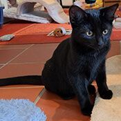 Jule und Joschi haben ein FürImmerZuhause gefunden