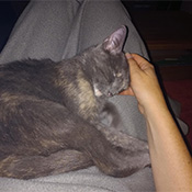 Kubi sucht ein FürImmerZuhause