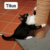 Titus hat ein neues Zuhause gefunden