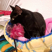 Leon hat ein neues Zuhause gefunden!