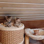 Leo und Lenny haben ein neues Zuhause gefunden.