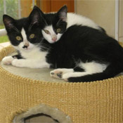 Lilly und Oli