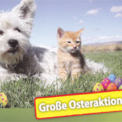 Helfen war noch NIE so einfach!