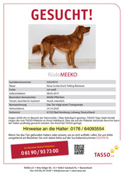Rüde Meeko wird vermisst