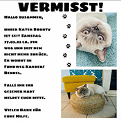 Kater Bounty wird vermisst
