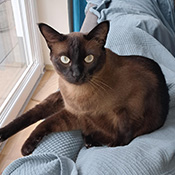 Skipper wird vermisst