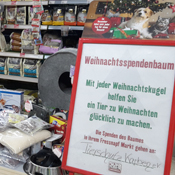 Tierschutzverein Karben setzt sich mit Spendenbaum für Obdachlose und ihre Tiere ein