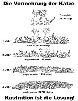 Spenaktion Katzenkastration