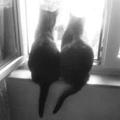 Mia & Mucki haben ein neues Zuhause gefunden!