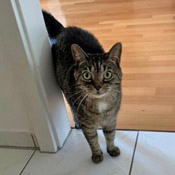 Mia & Mucki haben ein neues Zuhause gefunden!