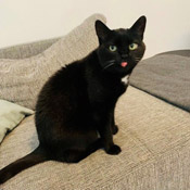 Mia & Mucki haben ein neues Zuhause gefunden!