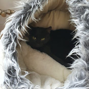 Mona hat ein Für-Immer-Zuhause gefunden!