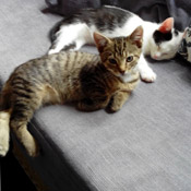 Sammy und Lucky Oktober 2014