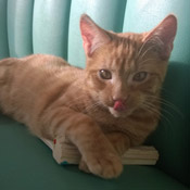 Milow