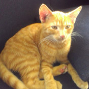 Milow