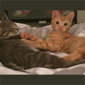 Momo und Pit
