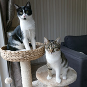 Luna und Pepper