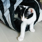 Snuky hat ein neues Zuhause gefunden!